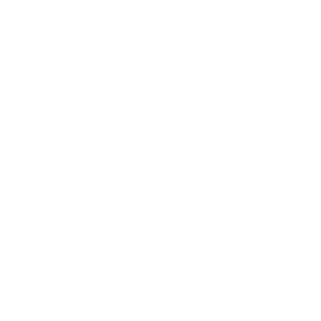 Punch Pizza logo